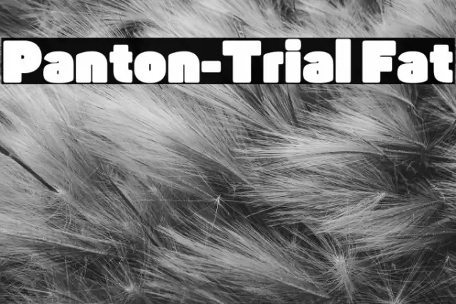 Panton-Trial Fat Font examples