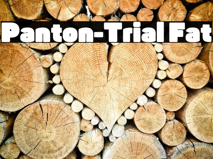 Panton-Trial Fat Example 2