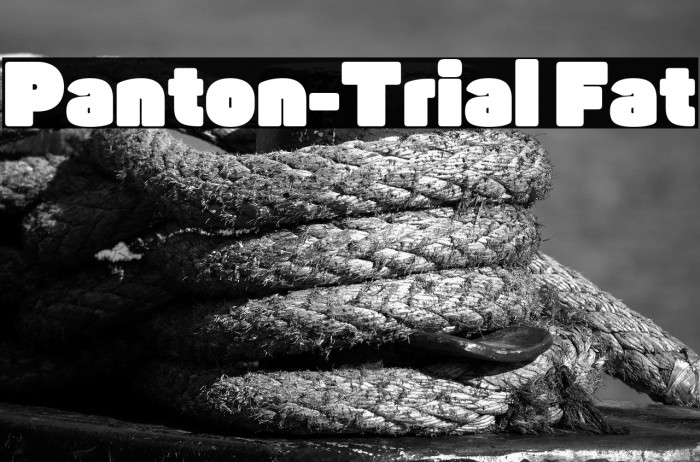 Panton-Trial Fat Example 3