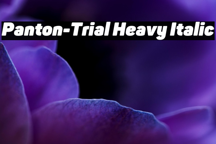 Panton-Trial Heavy Italic Example 1