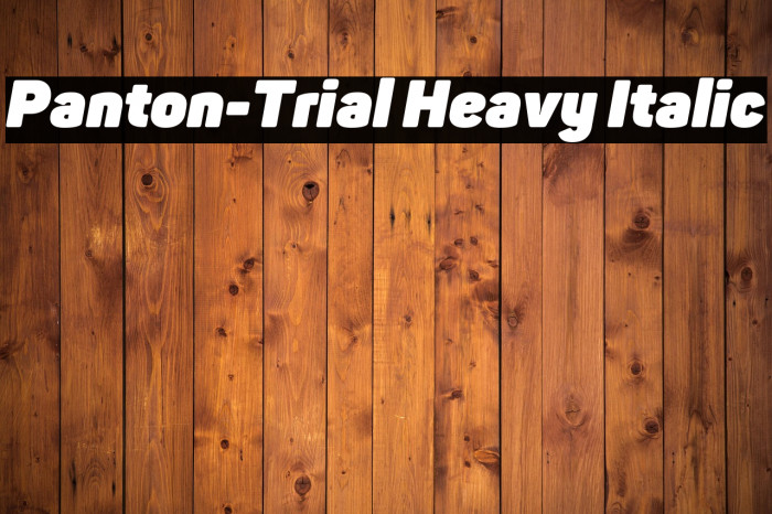 Panton-Trial Heavy Italic Example 2