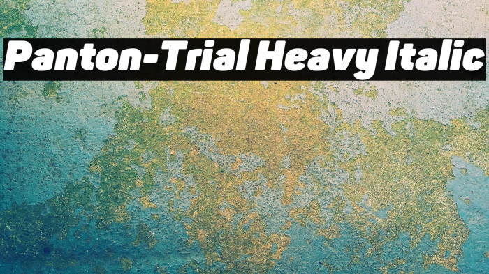 Panton-Trial Heavy Italic Example 3
