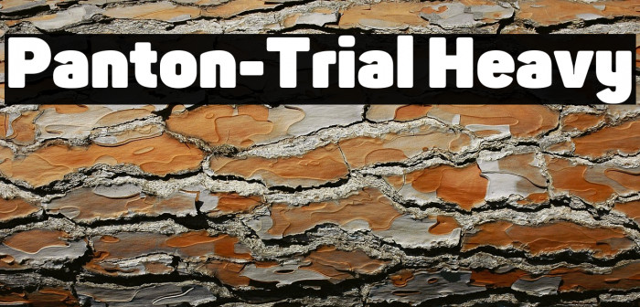 Panton-Trial Heavy Example 1