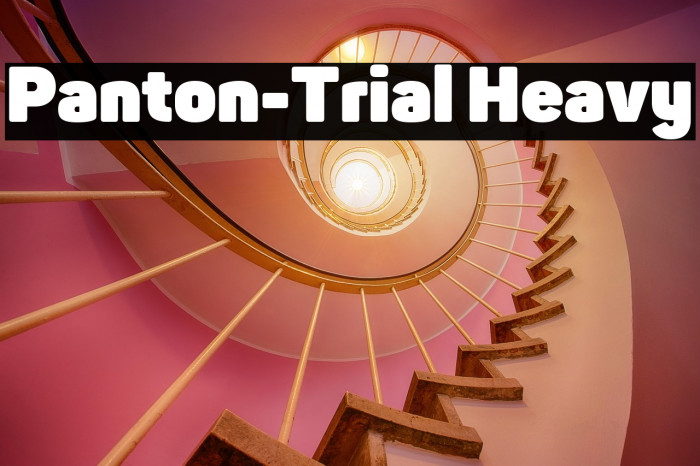 Panton-Trial Heavy Example 3
