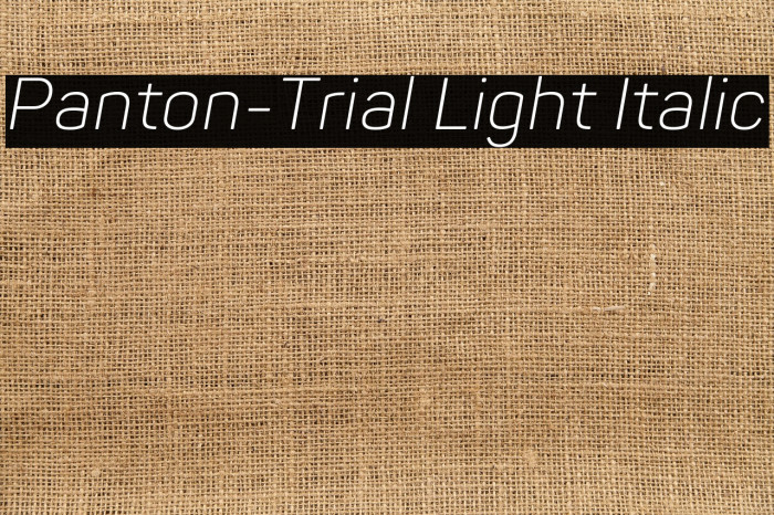 Panton-Trial Light Italic Example 1