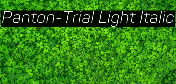Panton-Trial Light Italic Example 2