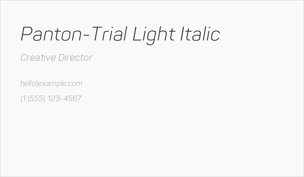 Panton-Trial Light Italic Business Card