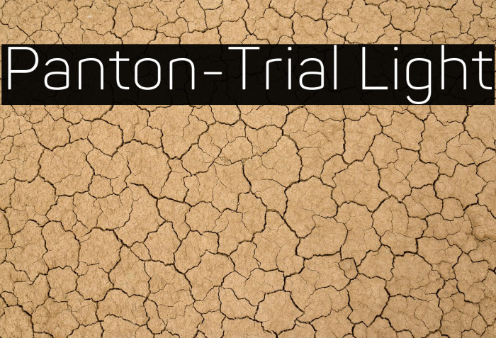Panton-Trial Light Example 1