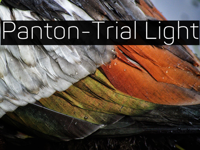 Panton-Trial Light Example 2