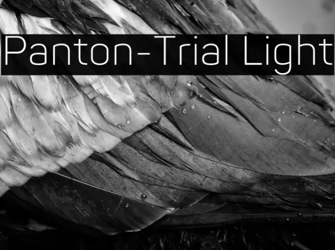 Panton-Trial Light Font examples