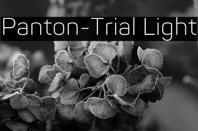 Panton-Trial Light Font examples