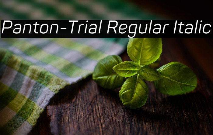 Panton-Trial Regular Italic Example 2