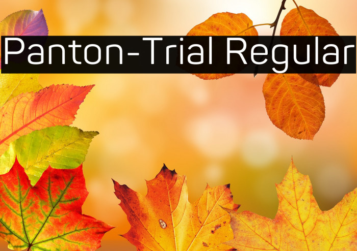 Panton-Trial Regular Example 1