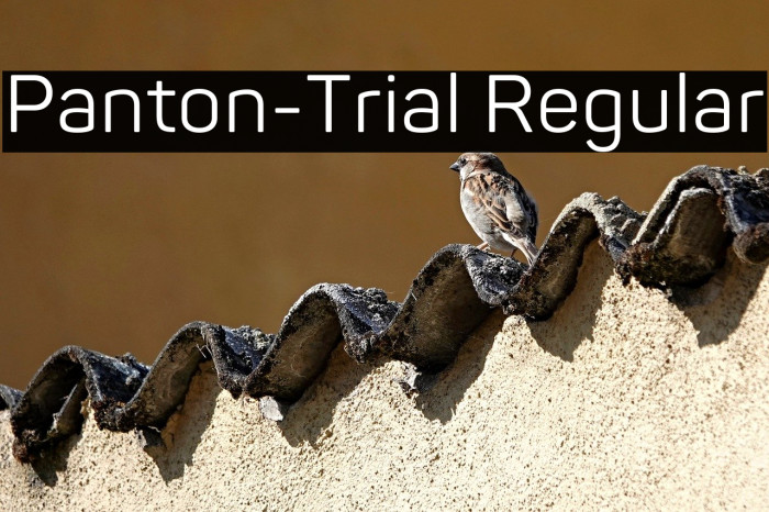 Panton-Trial Regular Example 2