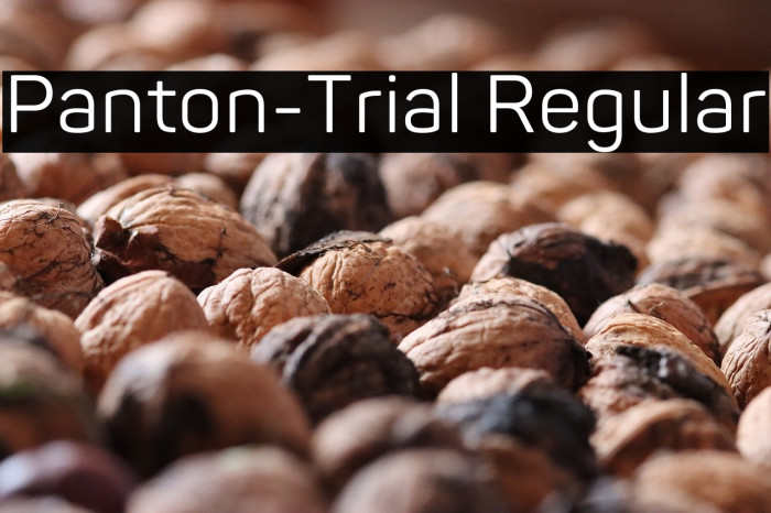 Panton-Trial Regular Example 3