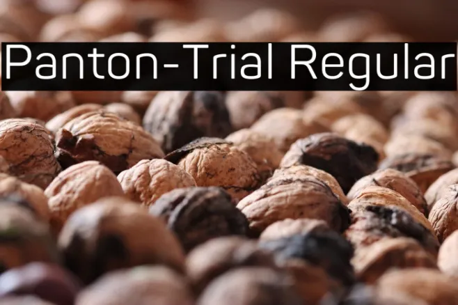 Panton-Trial Regular Example 3