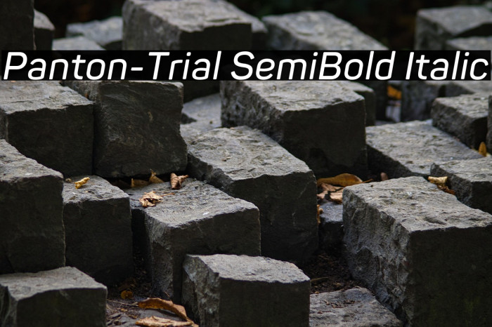 Panton-Trial SemiBold Italic Example 1