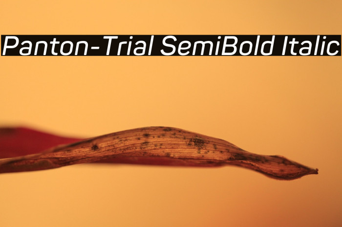 Panton-Trial SemiBold Italic Example 3