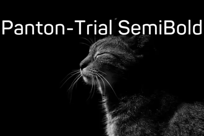 Panton-Trial SemiBold Font examples