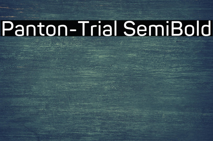 Panton-Trial SemiBold Example 2