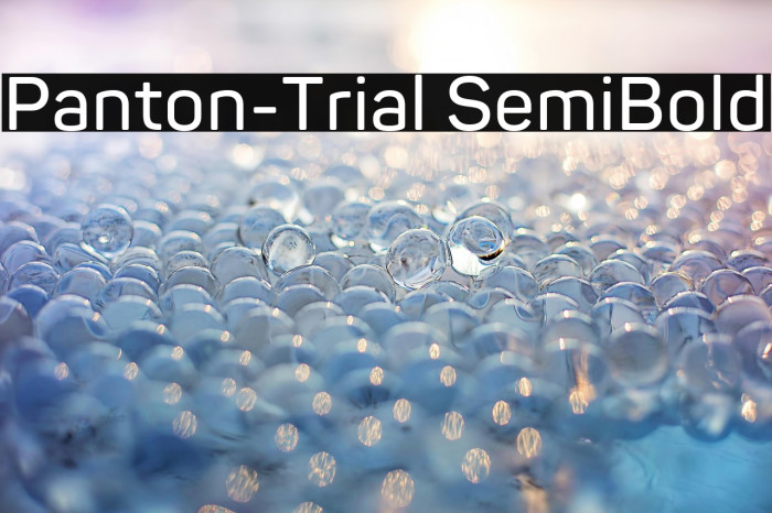 Panton-Trial SemiBold Example 3