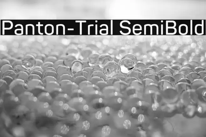 Panton-Trial SemiBold Font examples