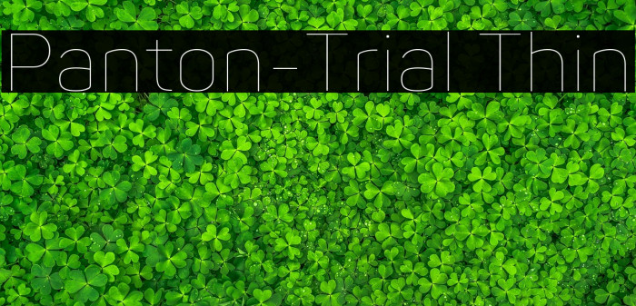 Panton-Trial Thin Example 1