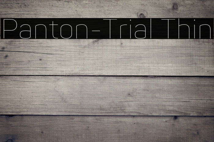 Panton-Trial Thin Example 2