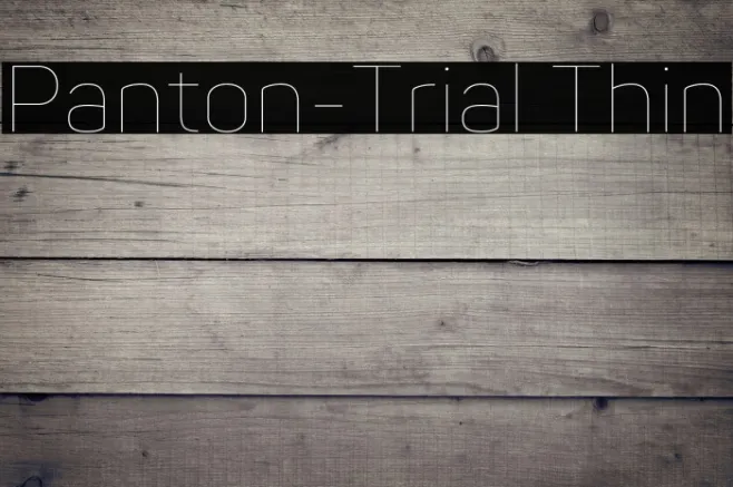 Panton-Trial Thin Example 2