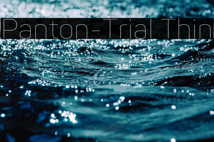 Panton-Trial Thin Example 3