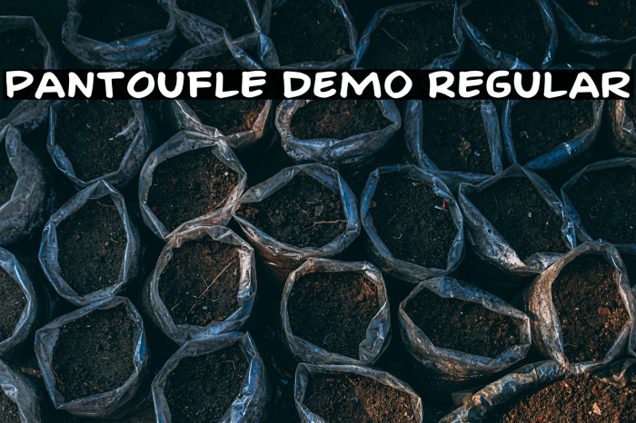 Pantoufle DEMO Regular Example 1