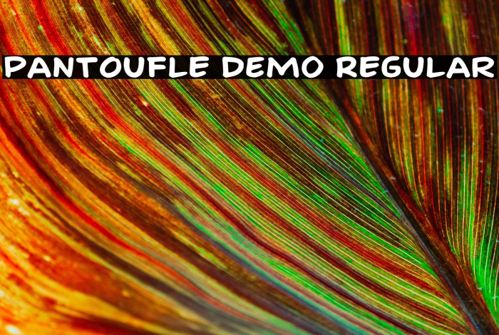 Pantoufle DEMO Regular Example 2