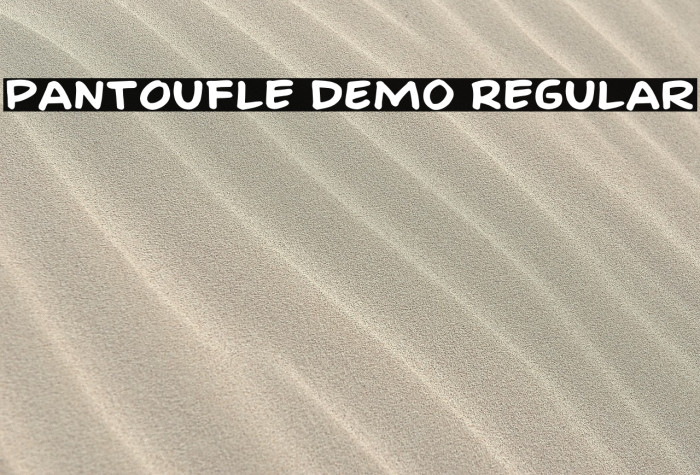 Pantoufle DEMO Regular Example 3