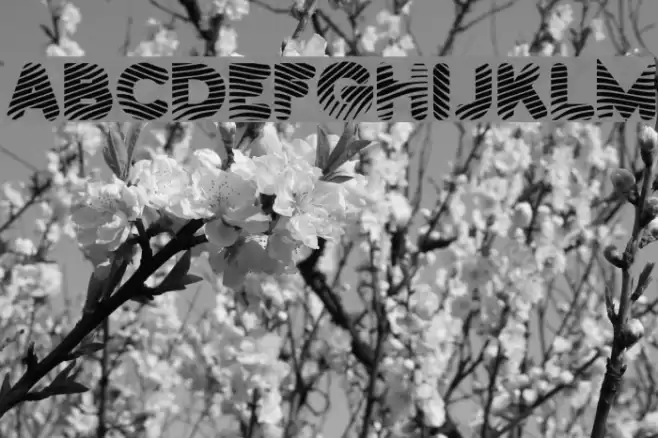 Pants Patrol Font examples