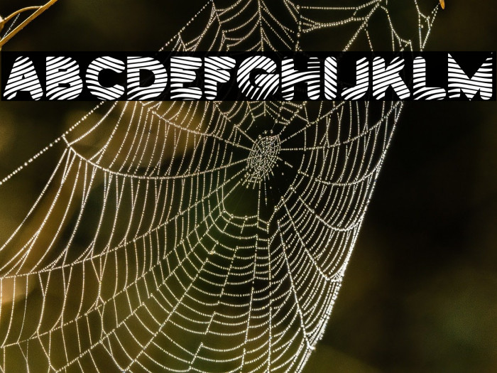 PantsPatrol-Regular Example 3