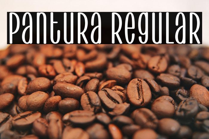 Pantura Regular Example 2