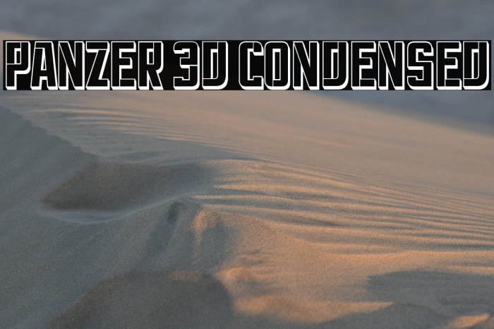 Panzer 3D Condensed Example 1