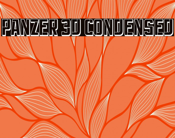 Panzer 3D Condensed Example 3