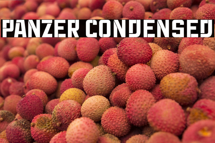 Panzer Condensed Example 1