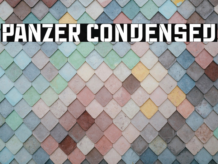 Panzer Condensed Example 2