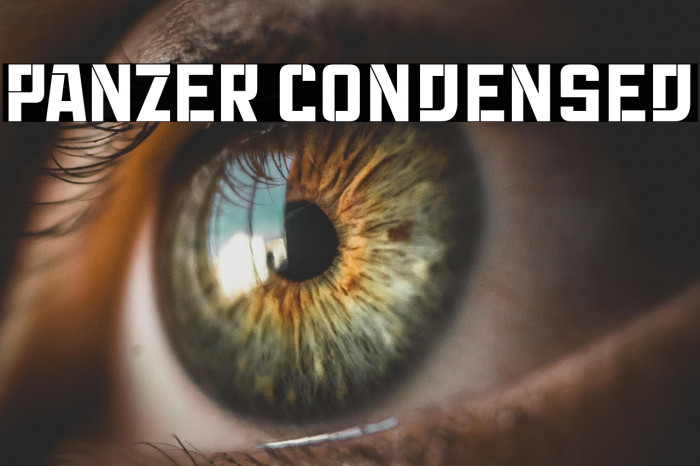 Panzer Condensed Example 3