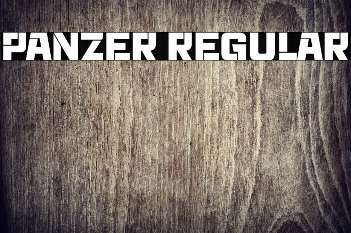 Panzer Regular Example 1