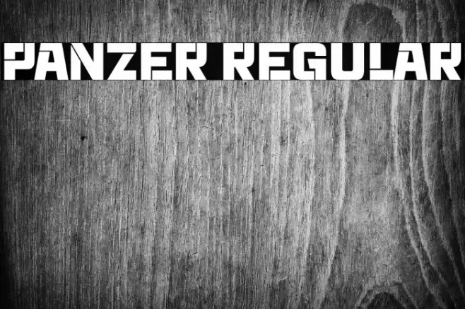Panzer Regular Font examples