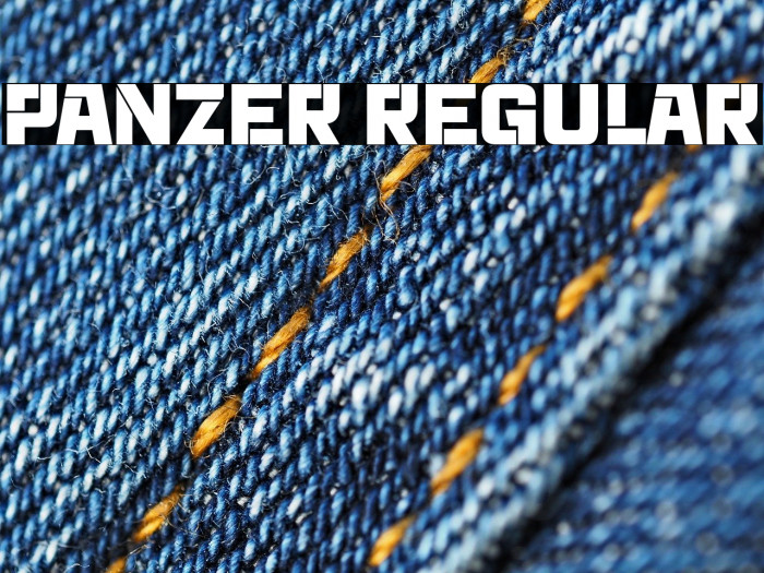 Panzer Regular Example 2