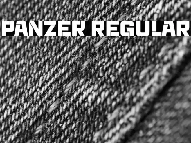 Panzer Regular Font examples