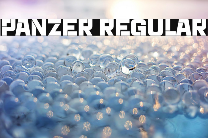 Panzer Regular Example 3