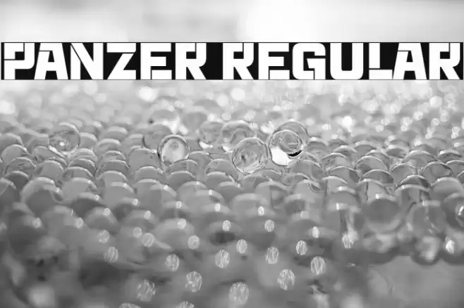 Panzer Regular Font examples