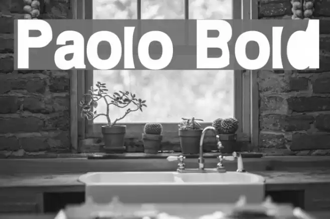 Paolo Bold Polices examples