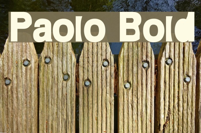 Paolo Bold Font examples