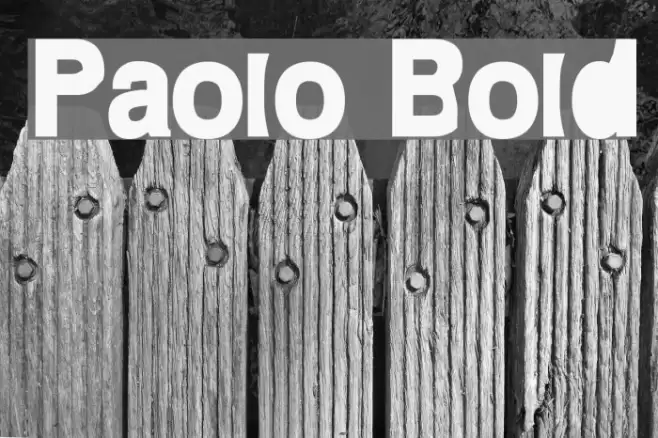 Paolo Bold Polices examples